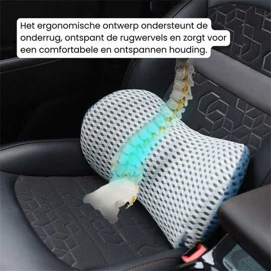 Lendesteun Kussen voor Rugondersteuning