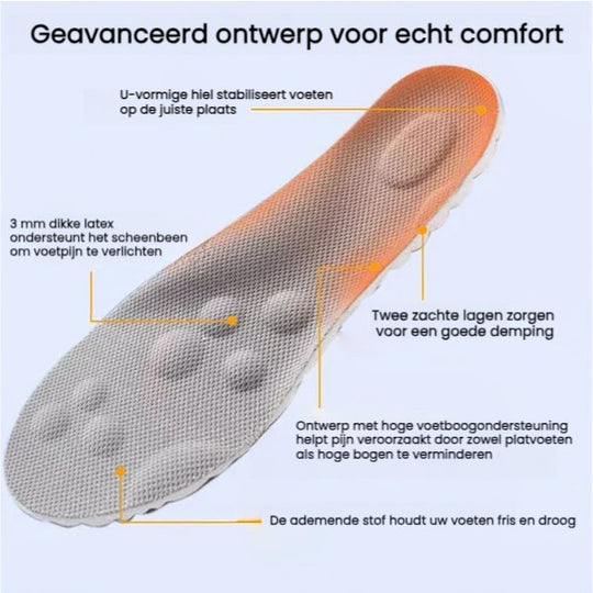 4D inlegzolen