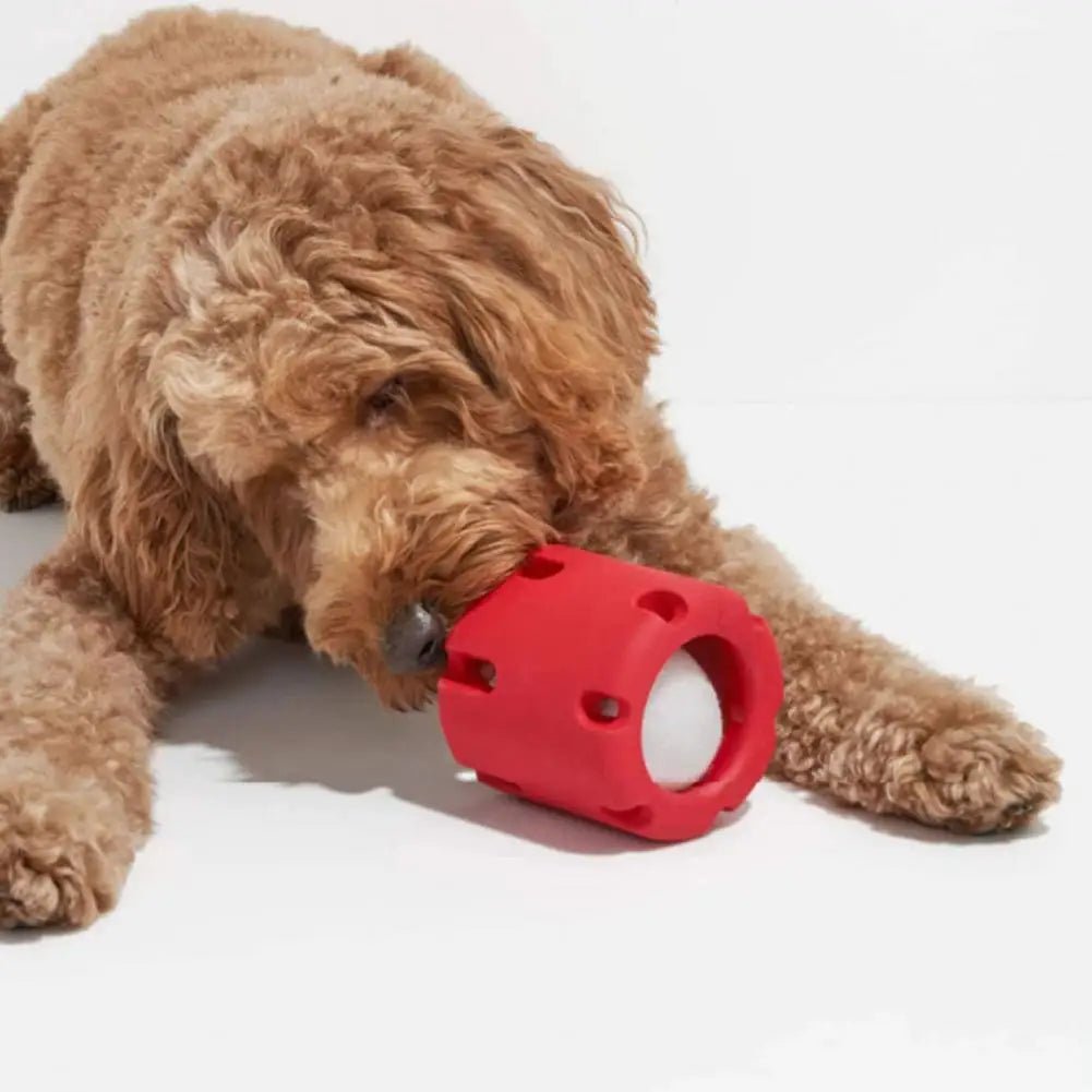 Slimme Puzzel voor honden