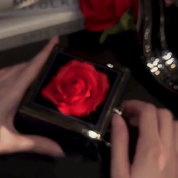 Hartketting (Tijdelijke Valentijnskorting)
