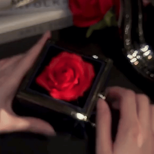 Hartketting (Tijdelijke Valentijnskorting)